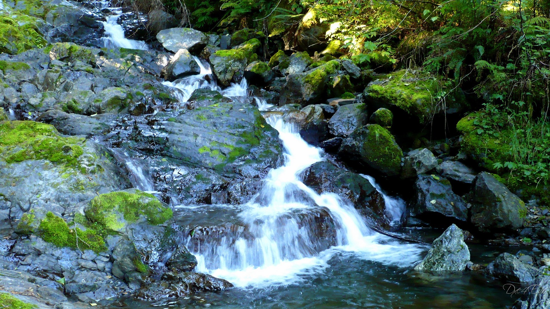 Stream flowing over mossy rocks