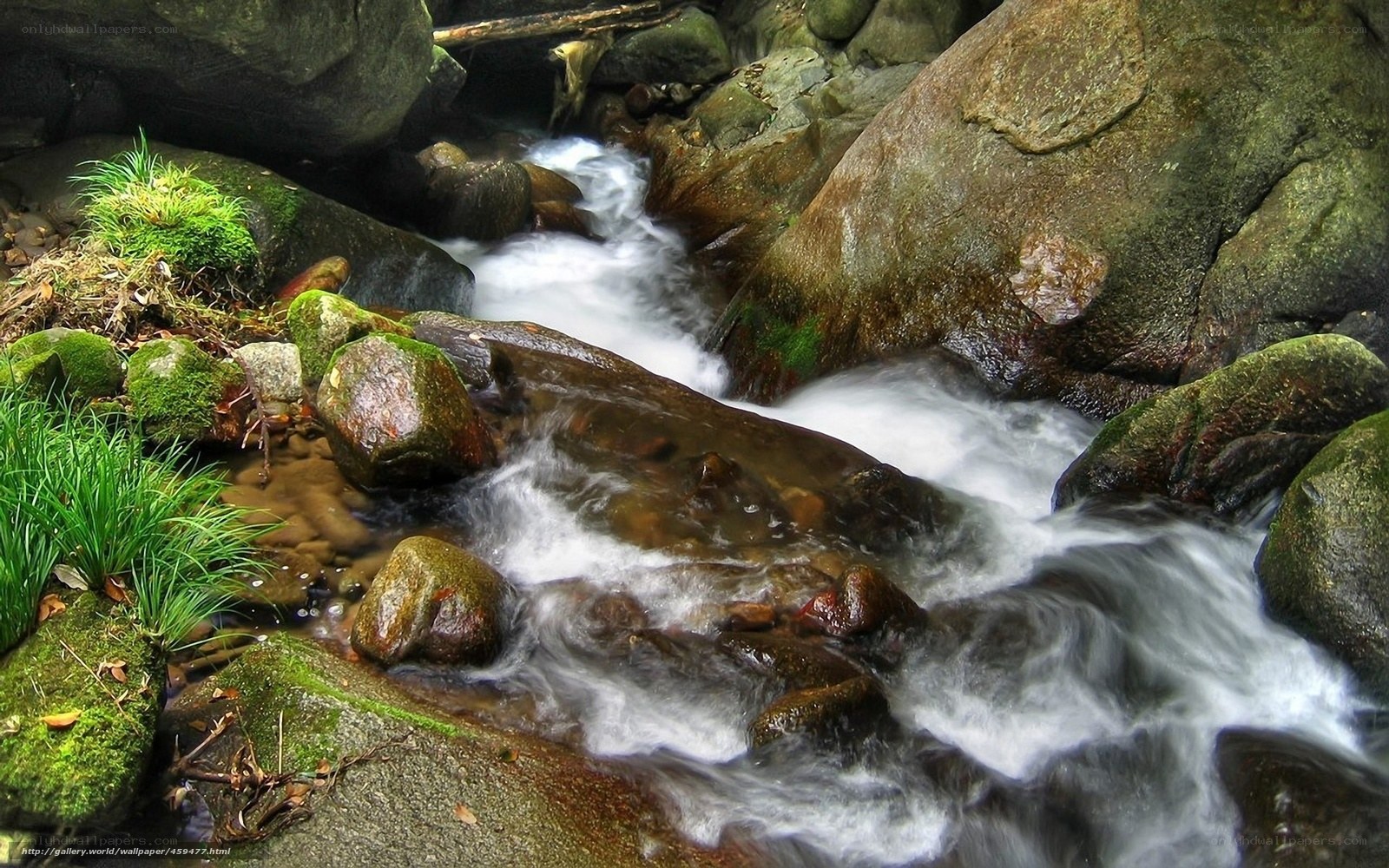 Stream flowing over mossy rocks
