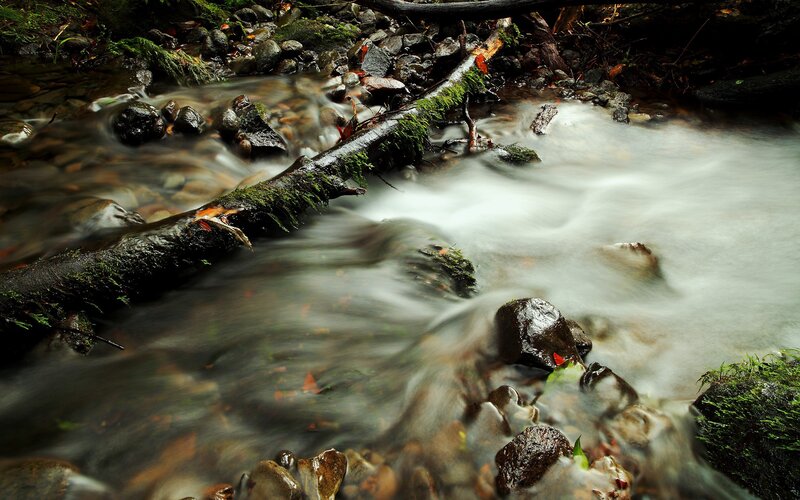 Stream flowing over mossy rocks
