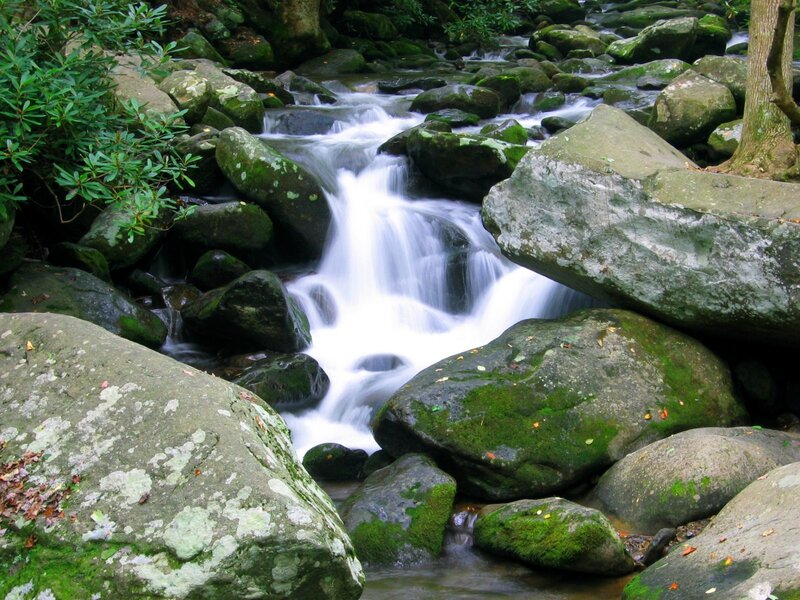Stream flowing over mossy rocks