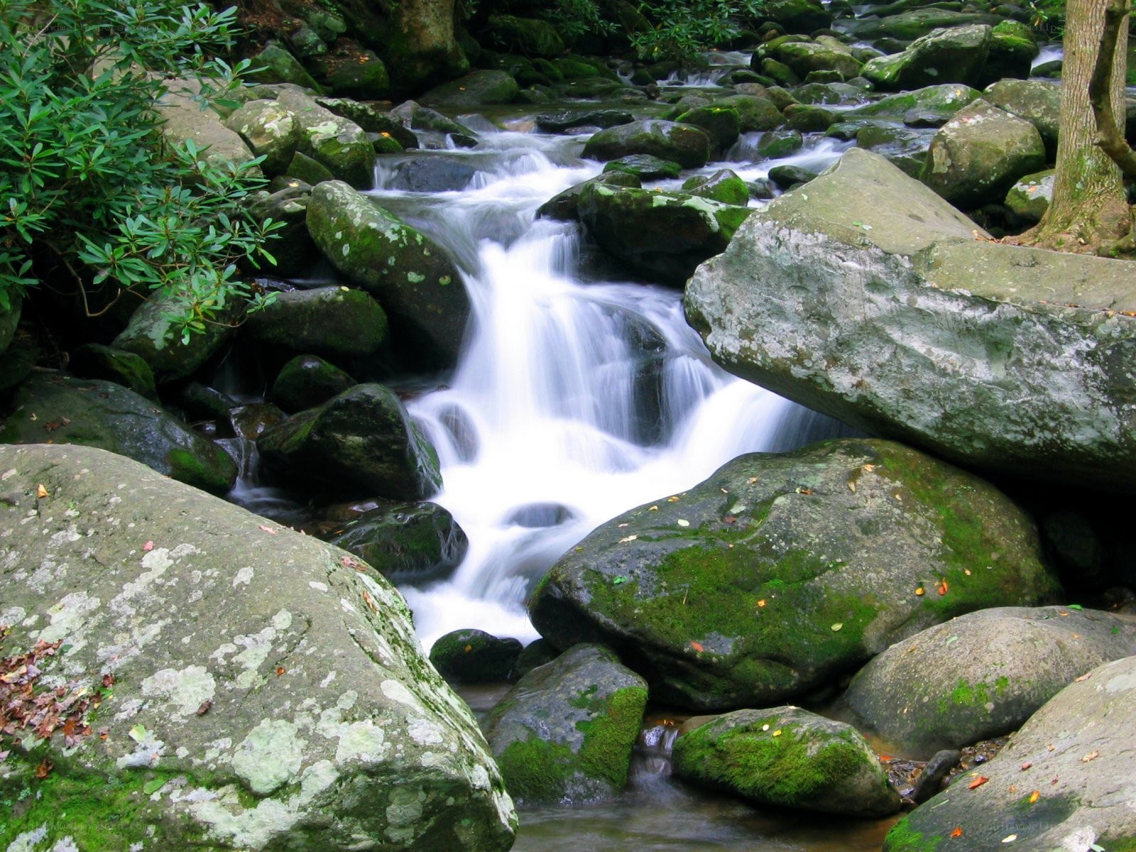 Stream flowing over mossy rocks