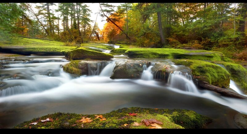 Stream Flowing over Mossy Rocks — Green, Serene, Autumn