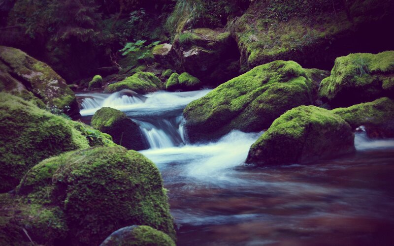 Stream Flowing over Mossy Rocks — Green, Serene, Photograph