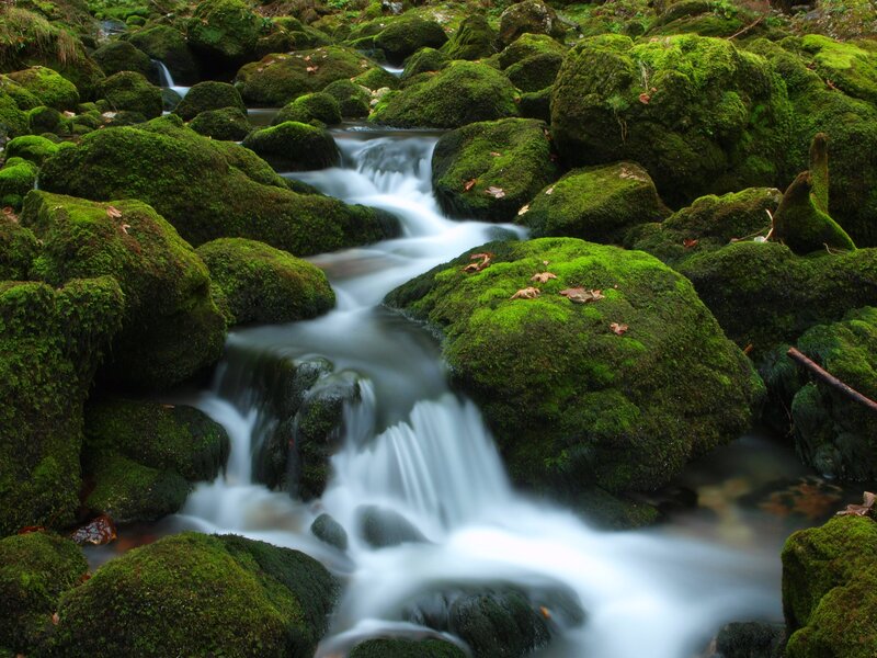 Stream Flowing over Mossy Rocks — Green, Serene