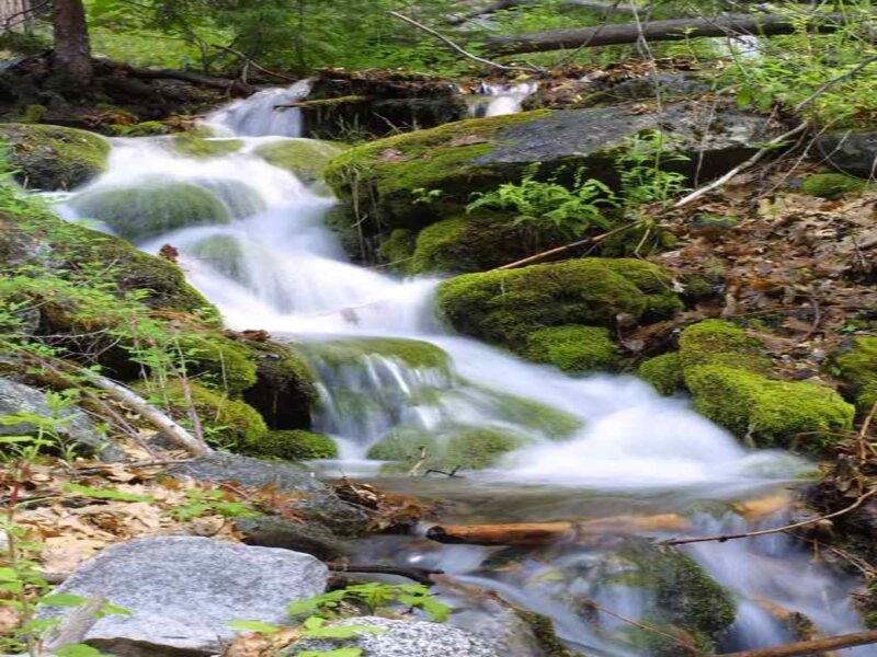 Stream Flowing over Mossy Rocks — Green