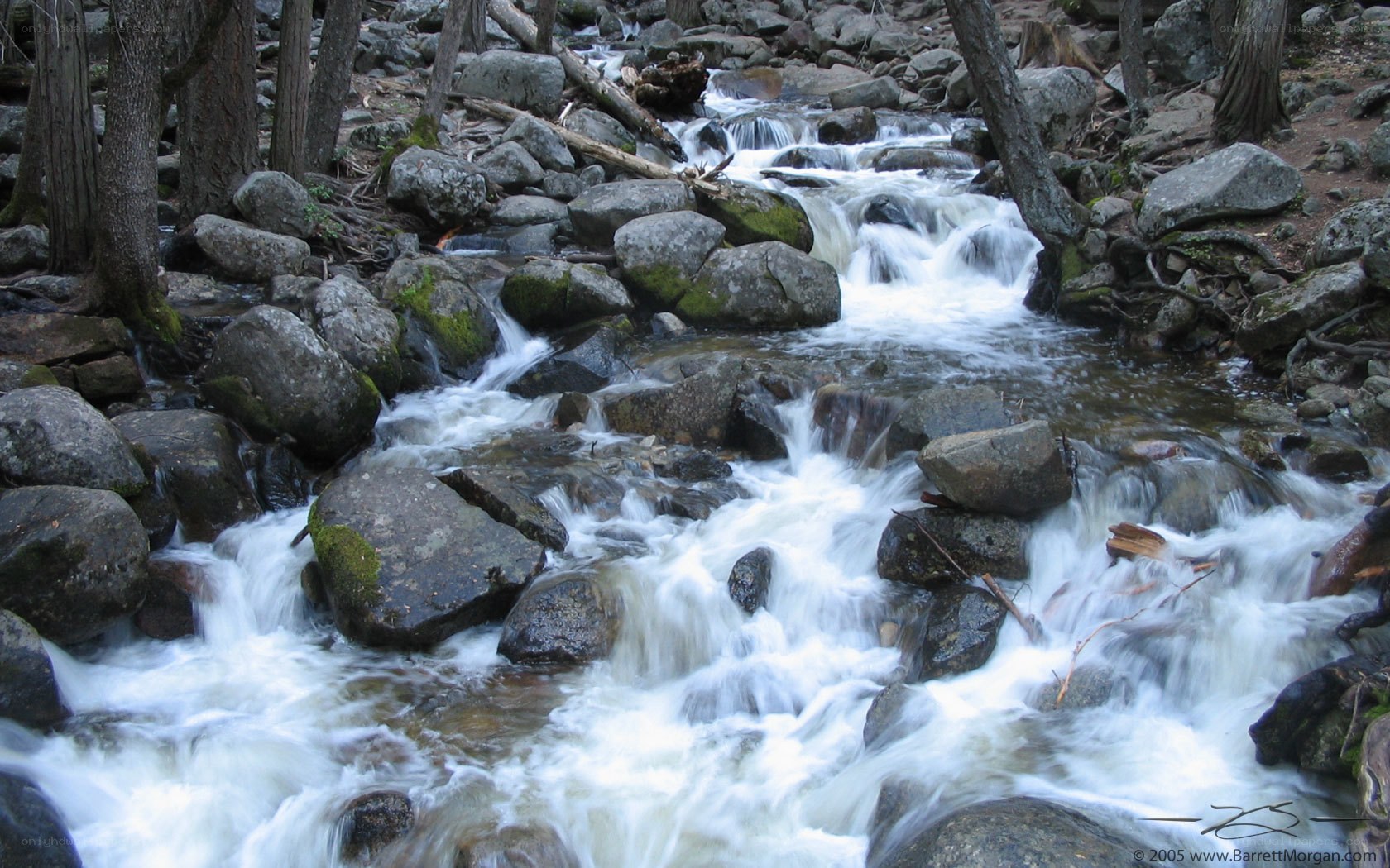 Stream flowing over rocks