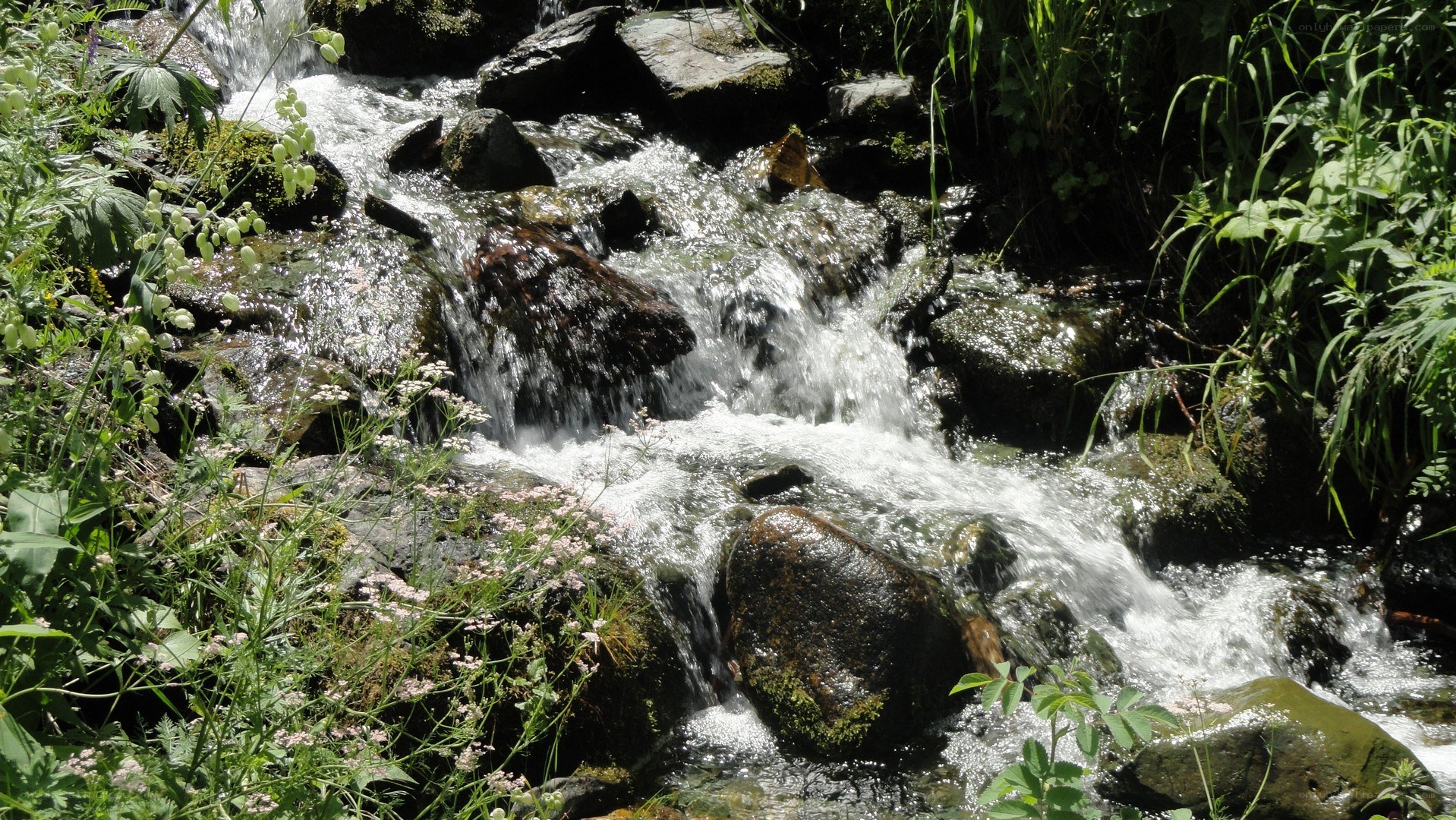 Stream flowing over rocks