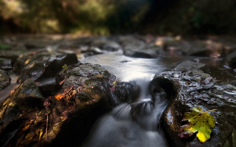 Stream flowing over rocks