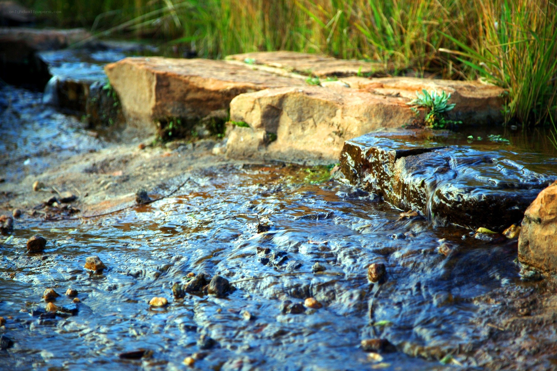 Stream flowing over rocks