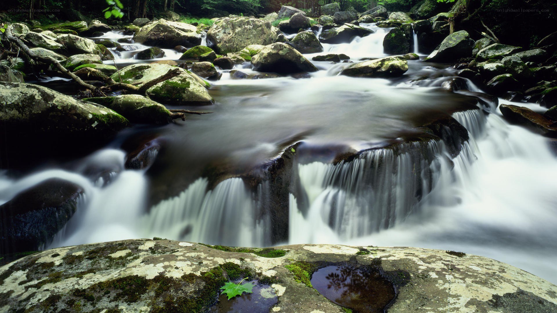 Stream flowing over rocks