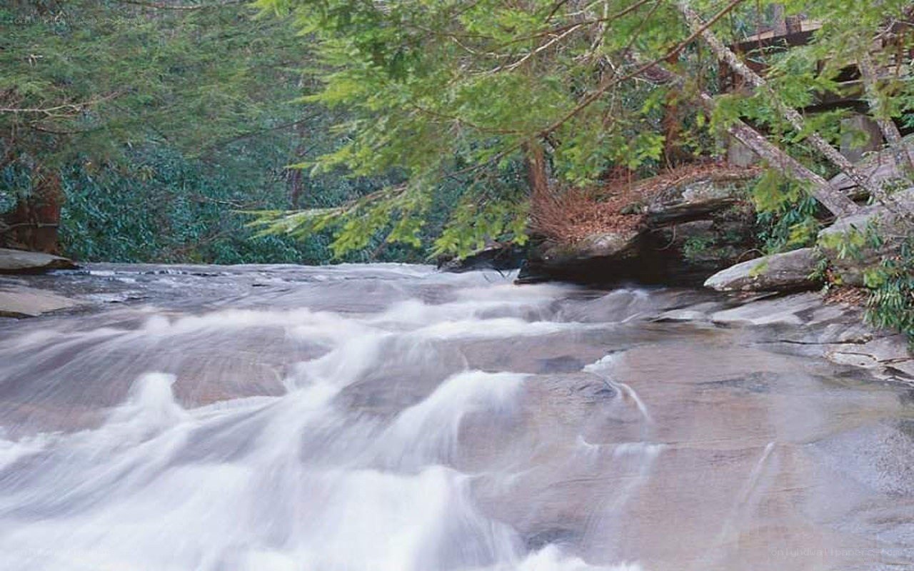 Stream flowing over rocks