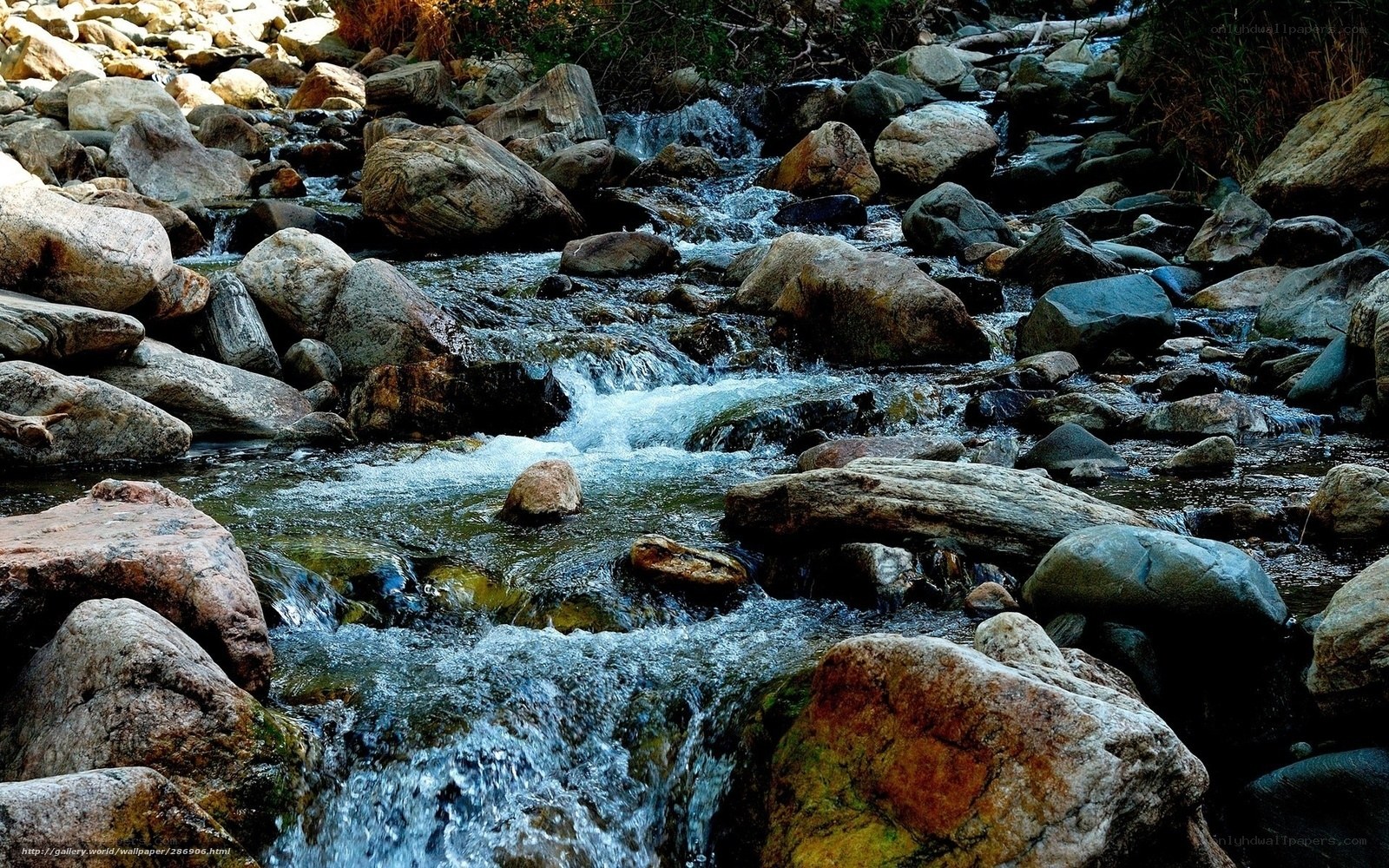 Stream flowing over rocks