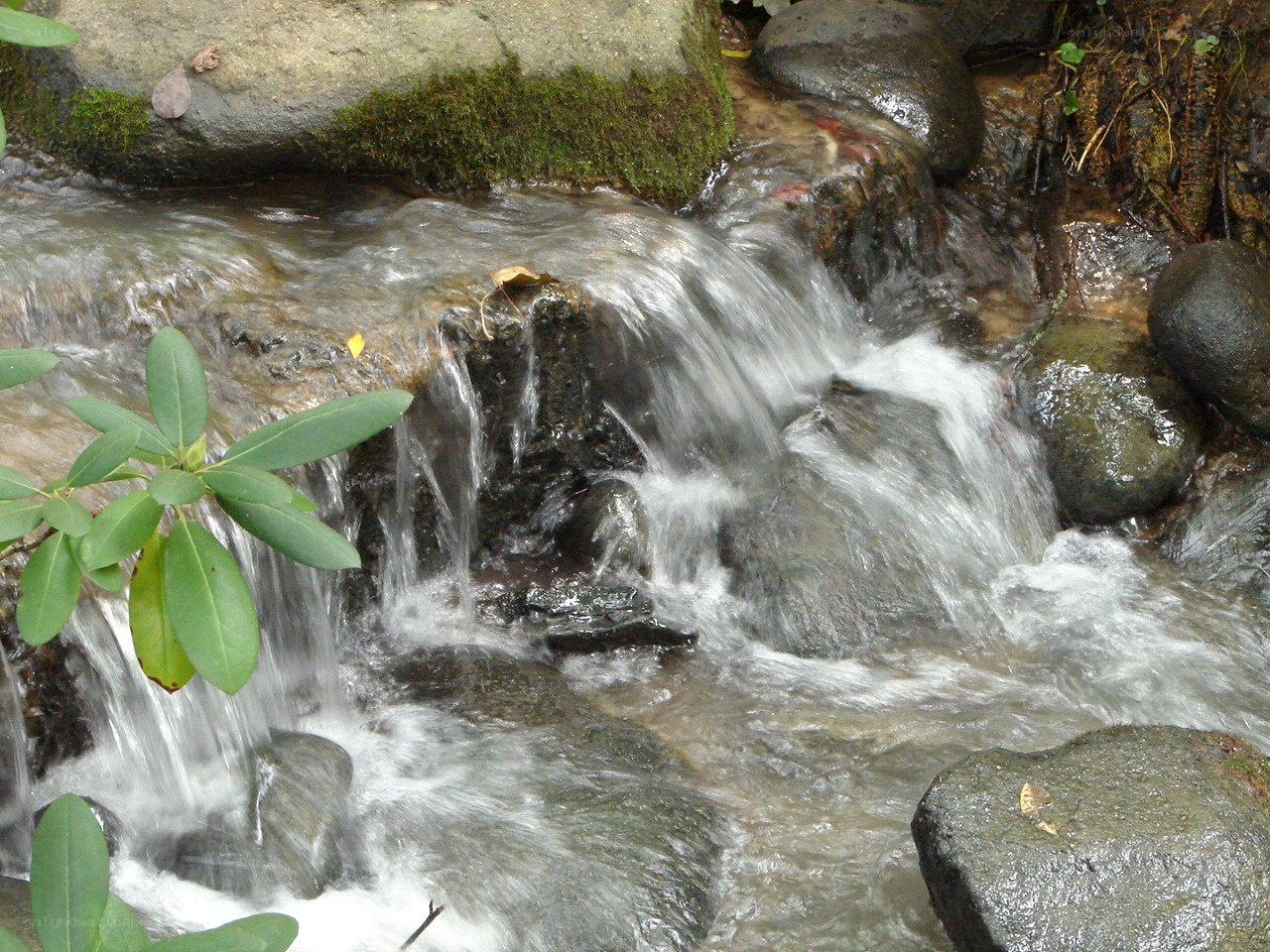Stream flowing over rocks