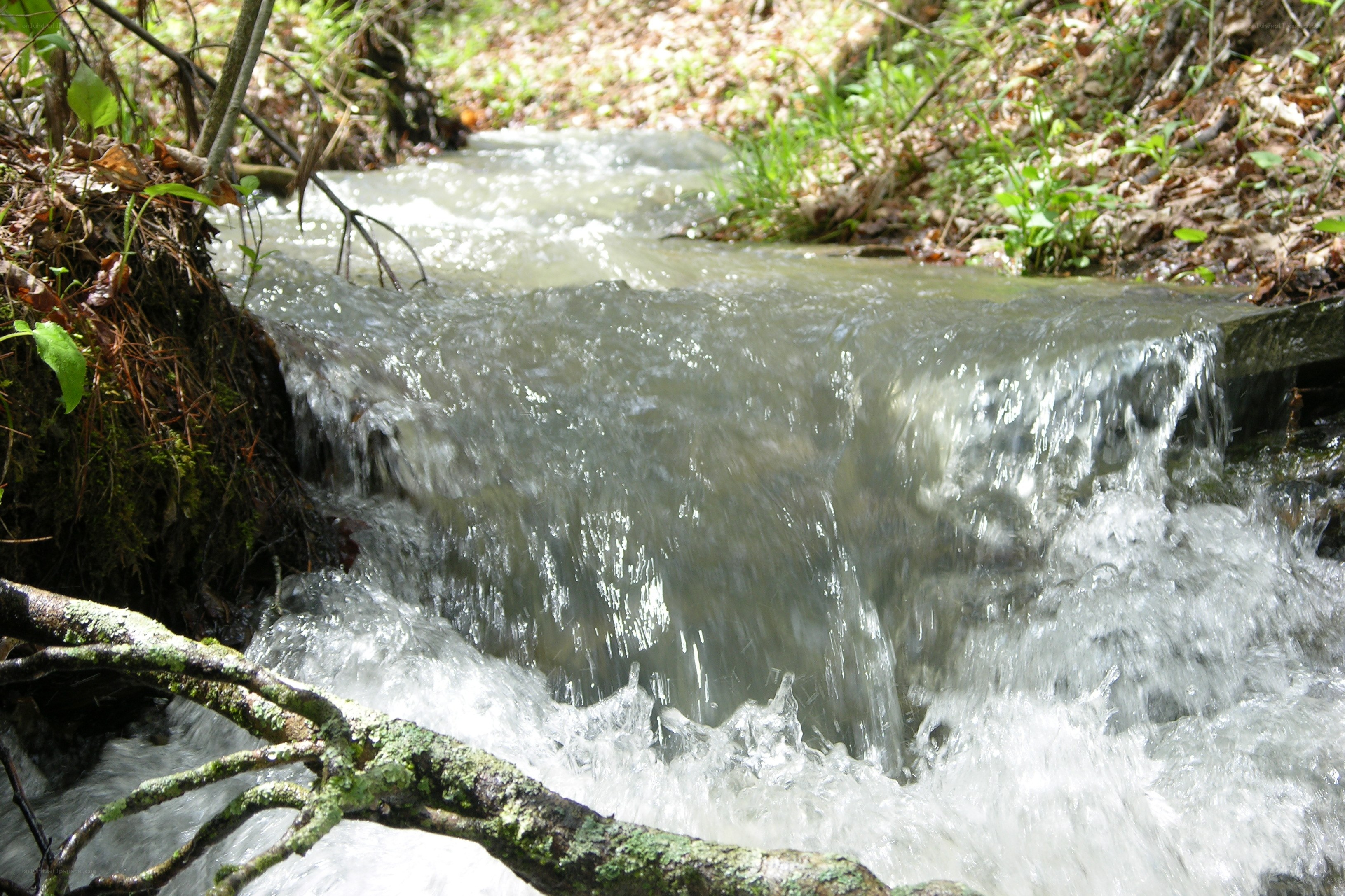 Stream flowing over rocks