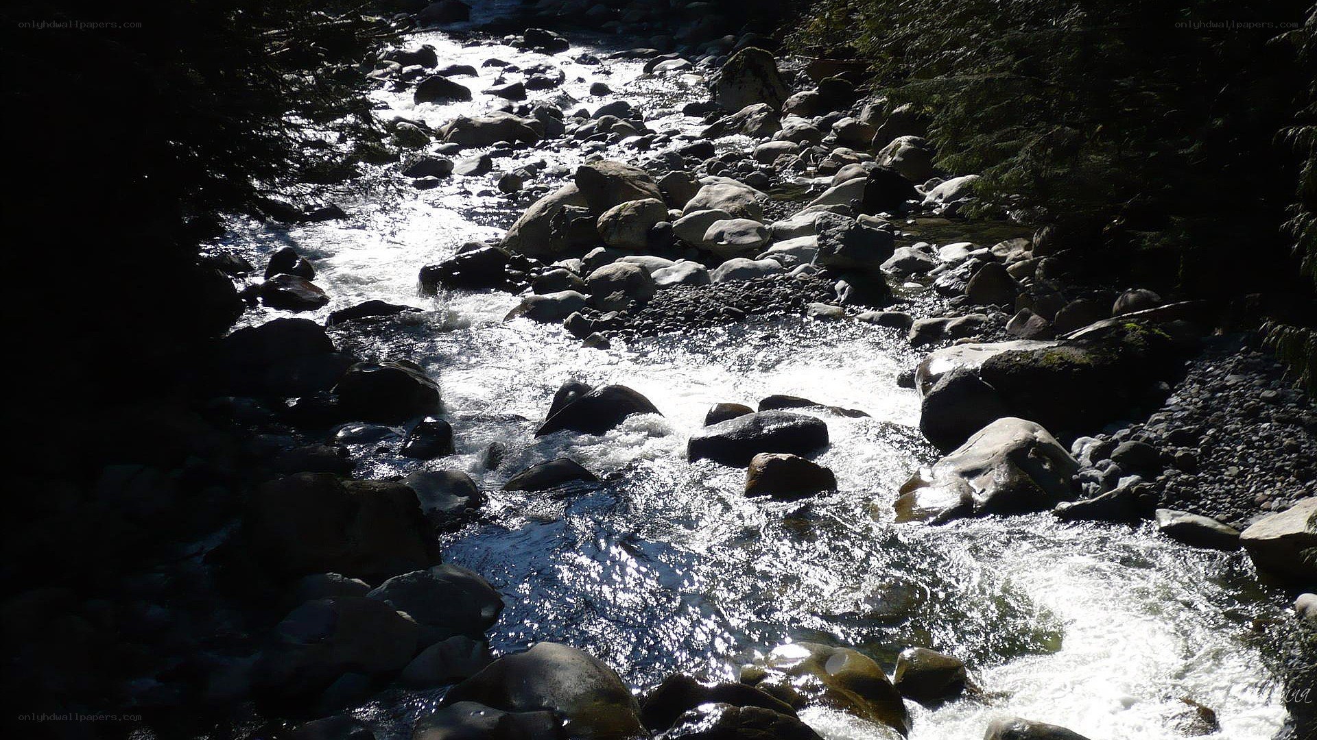Stream flowing over rocks