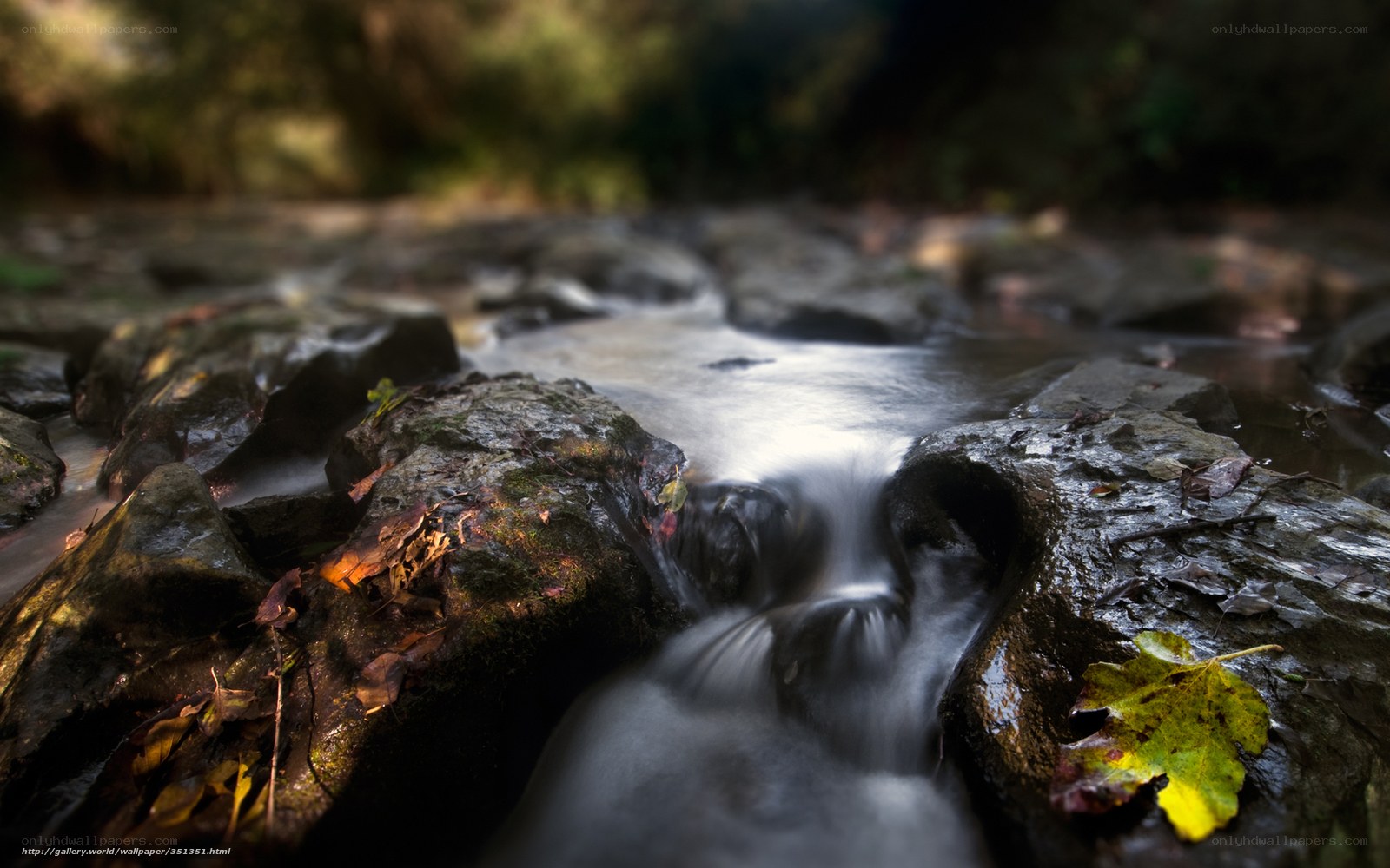 Stream flowing over rocks