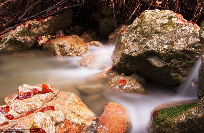 Stream flowing over rocks