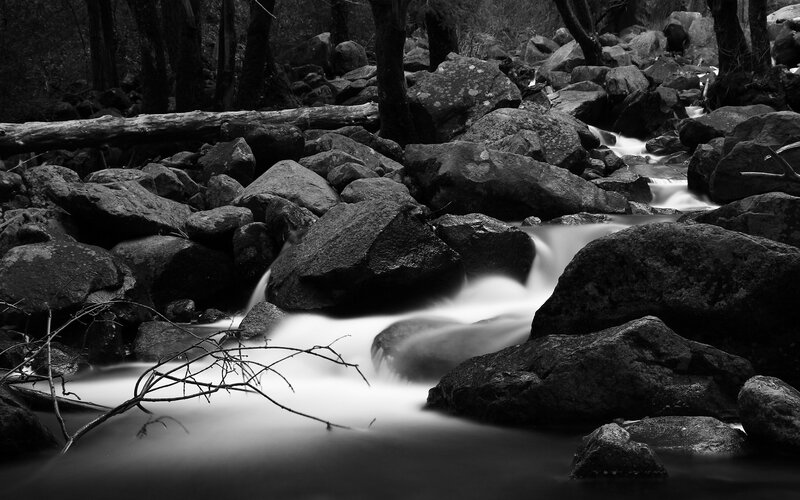 Stream Flowing over Rocks — Black, Serene, Photograph, Trees