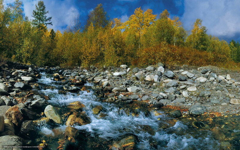 Stream Flowing over Rocks — Blue, Dramatic, Autumn