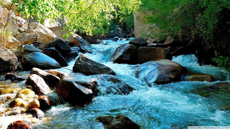 Stream Flowing over Rocks — Blue, Serene, Afternoon, Photograph, Trees, River