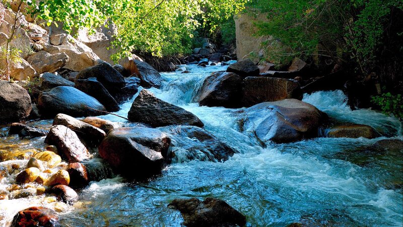 Stream Flowing over Rocks — Blue, Serene, Afternoon, Photograph, Trees