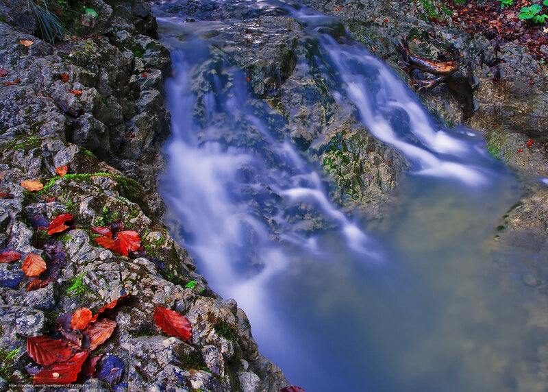 Stream Flowing over Rocks — Blue, Serene, Autumn, Photograph, Leaves, Moss