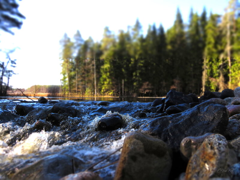 Stream Flowing over Rocks — Blue, Serene, Morning