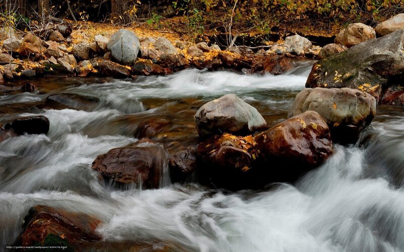 Stream Flowing over Rocks — Brown, Calm, Autumn
