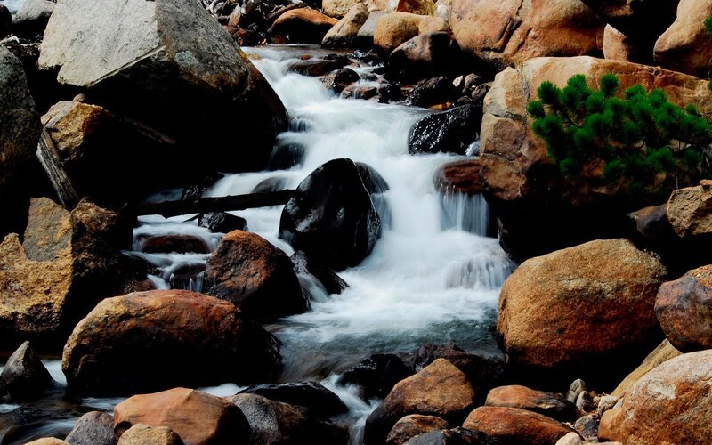 Stream Flowing over Rocks — Brown, Dynamic, Photograph, Pine Tree