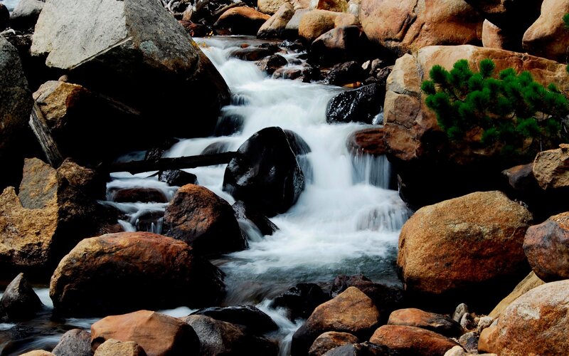 Stream Flowing over Rocks — Brown, Dynamic, Photograph, Tree