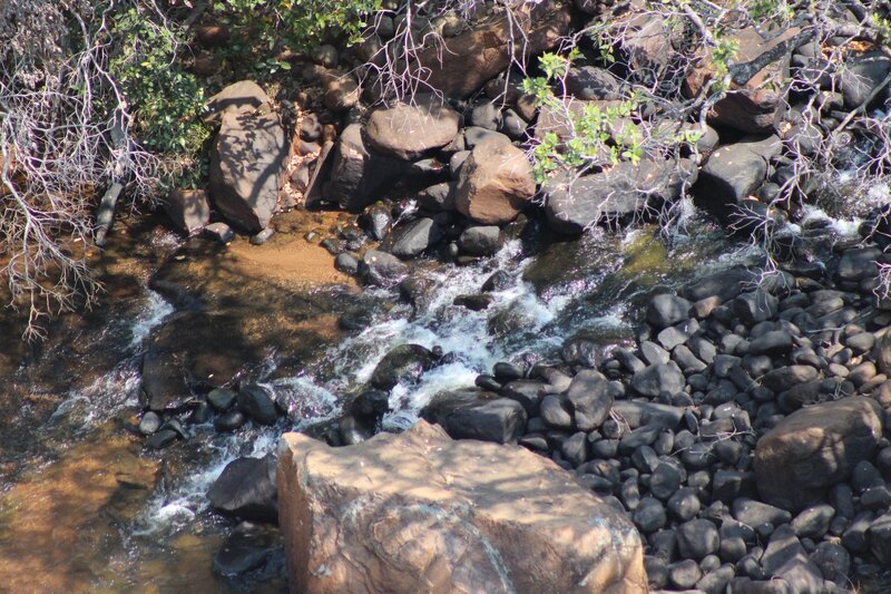 Stream Flowing over Rocks — Brown, Natural, Afternoon, Photograph, Trees