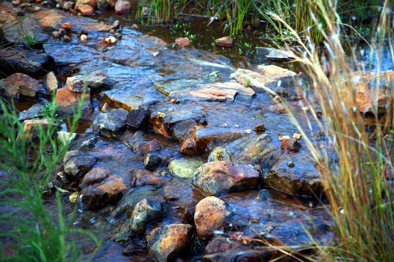 Stream Flowing over Rocks — Brown, Serene, Afternoon, Photograph, Grass, Water