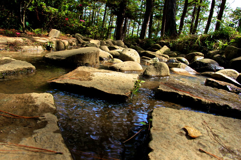 Stream Flowing over Rocks — Brown, Serene, Afternoon, Photograph
