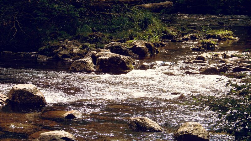 Stream Flowing over Rocks — Brown, Serene, Afternoon, Photograph, Trees