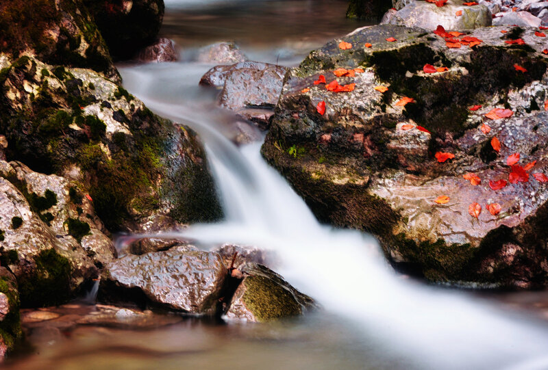 Stream Flowing over Rocks — Brown, Serene, Autumn, Photograph, Leaves, Moss