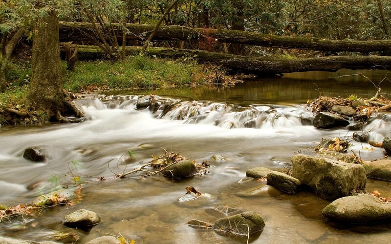 Stream Flowing over Rocks — Brown, Serene, Autumn, Photograph, Trees, Fallen Log, Leaves