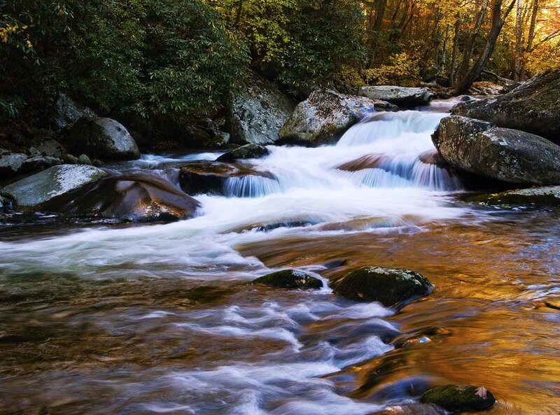 Stream Flowing over Rocks — Brown, Serene, Autumn, Photograph, Trees, Forest