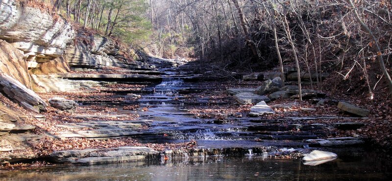 Stream Flowing over Rocks — Brown, Serene, Autumn, Photograph, Trees