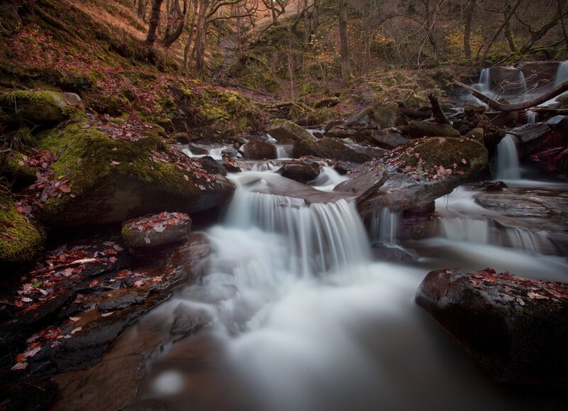 Stream Flowing over Rocks — Fallen Leaves