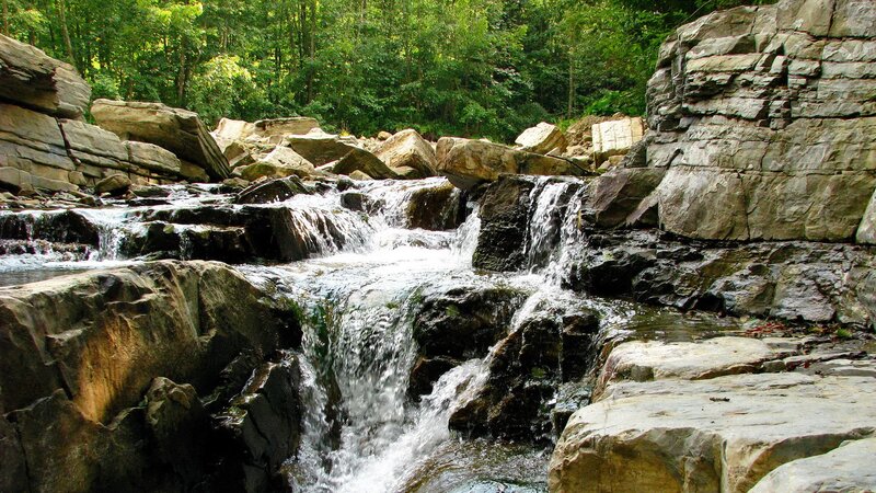 Stream Flowing over Rocks — Forest