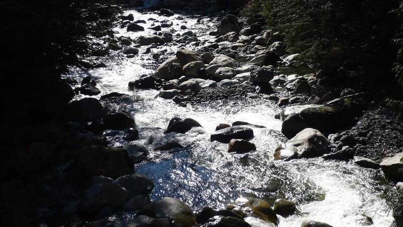 Stream Flowing over Rocks — Gray, Dramatic, Afternoon