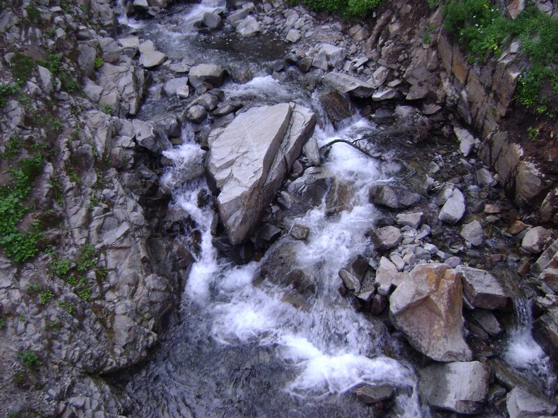 Stream Flowing over Rocks — Gray, Natural, Photograph, Plants