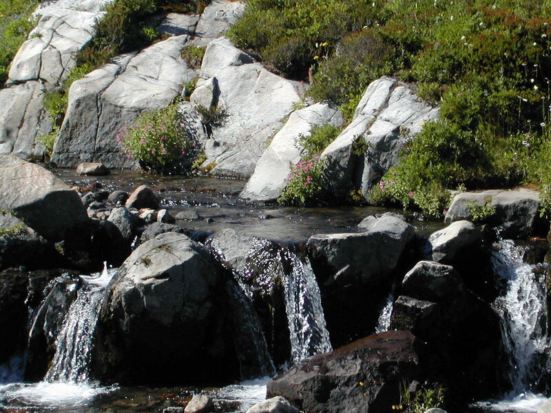 Stream Flowing over Rocks — Gray, Serene, Afternoon, Photograph, Plants