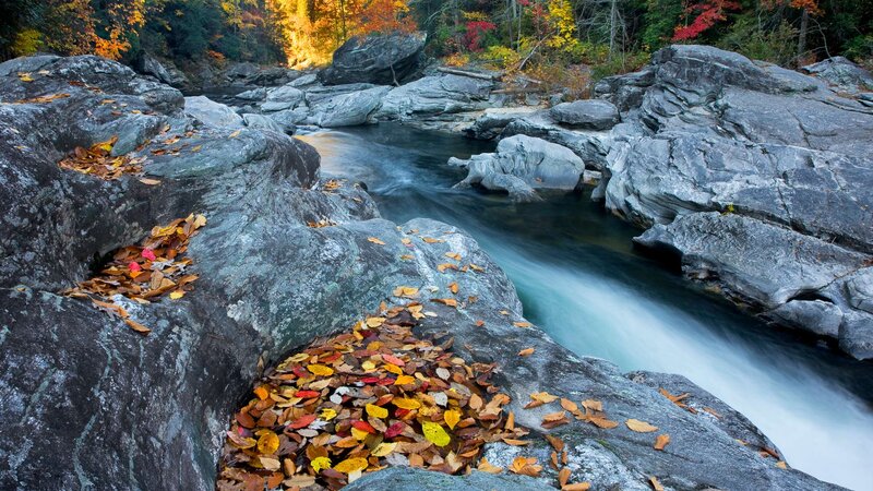 Stream Flowing over Rocks — Gray, Serene, Autumn, Photograph