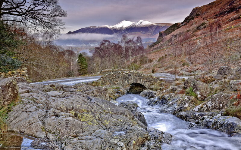 Stream Flowing over Rocks — Gray, Serene, Autumn