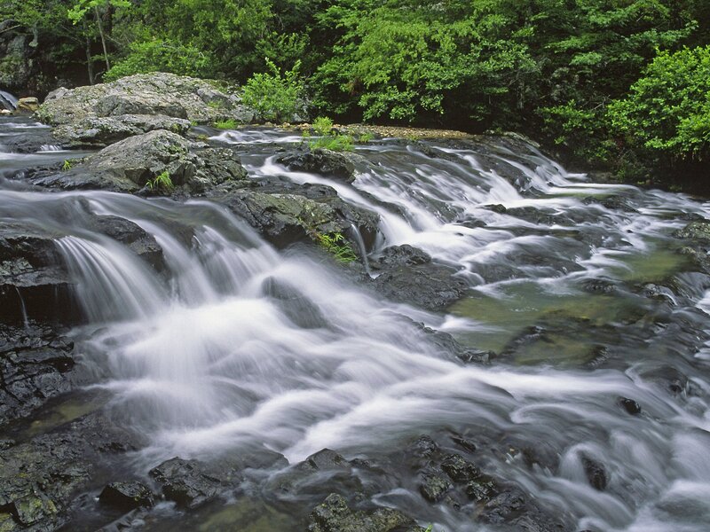 Stream Flowing over Rocks — Green, Afternoon