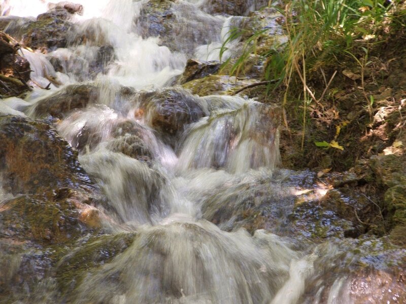 Stream Flowing over Rocks — Green, Calm, Afternoon, Photograph, Plants