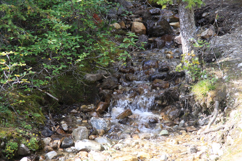 Stream Flowing over Rocks — Green, Calm, Afternoon