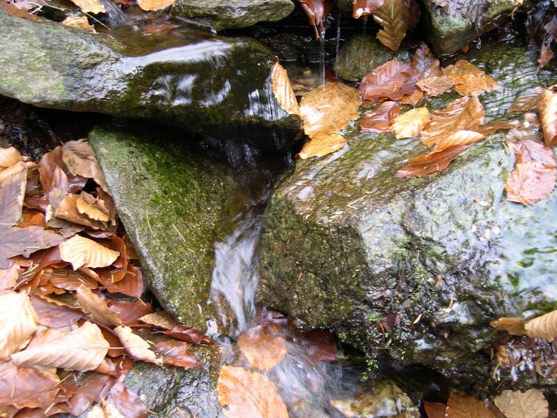 Stream Flowing over Rocks — Green, Calm, Autumn