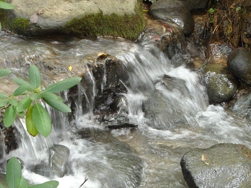 Stream Flowing over Rocks — Green, Calm, Photograph, Moss, Leaves